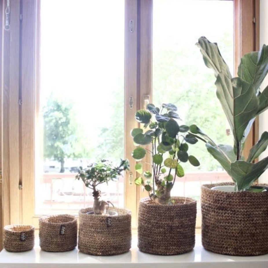 Banana Fibre Planters and Baskets – Handmade rustic decor set