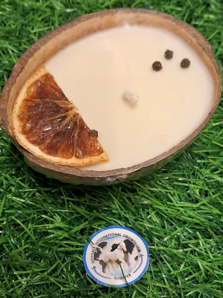 WhatsApp Image 2025-06-01 at 7.20.07 AM (1).webp