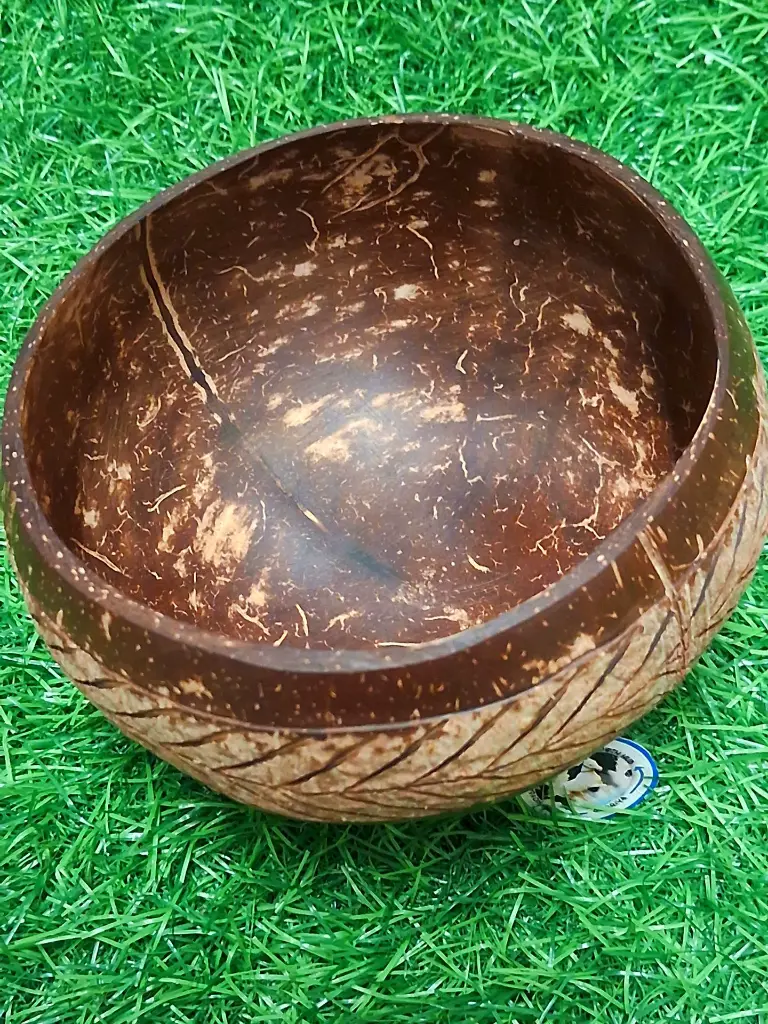 WhatsApp Image 2025-06-01 at 7.51.22 AM (1).webp