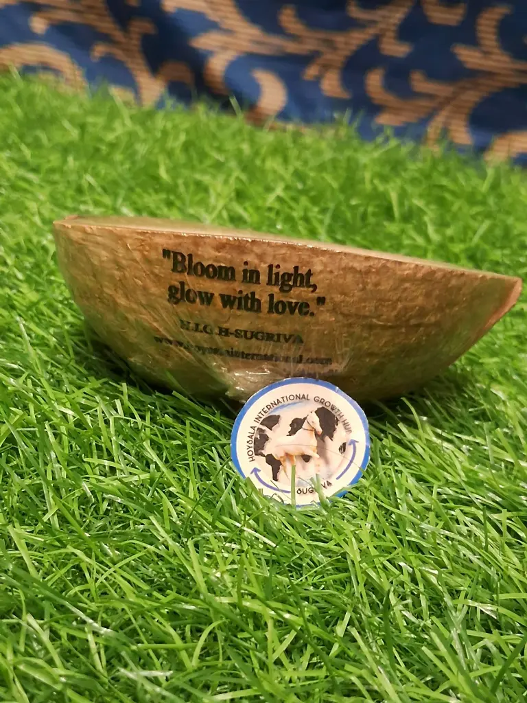 WhatsApp Image 2025-06-01 at 8.09.31 AM (1).webp