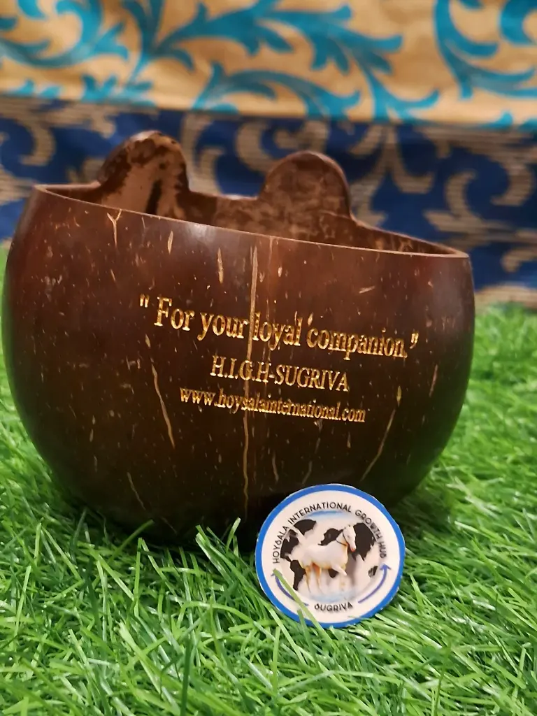 WhatsApp Image 2025-06-01 at 7.09.57 AM (1).webp