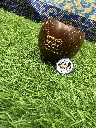 IMG_6864.webp