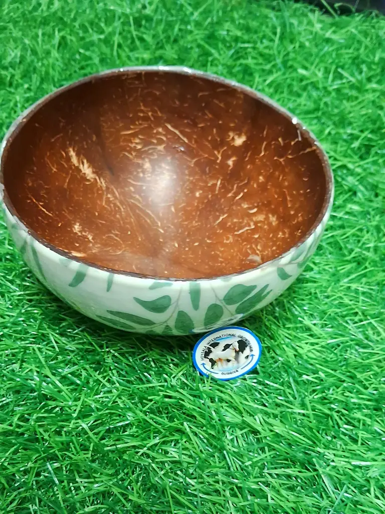 WhatsApp Image 2025-06-01 at 7.03.42 AM (1).webp