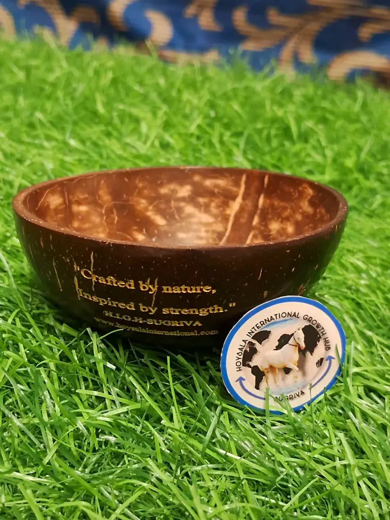 Coconut shell mini bowl with spoon