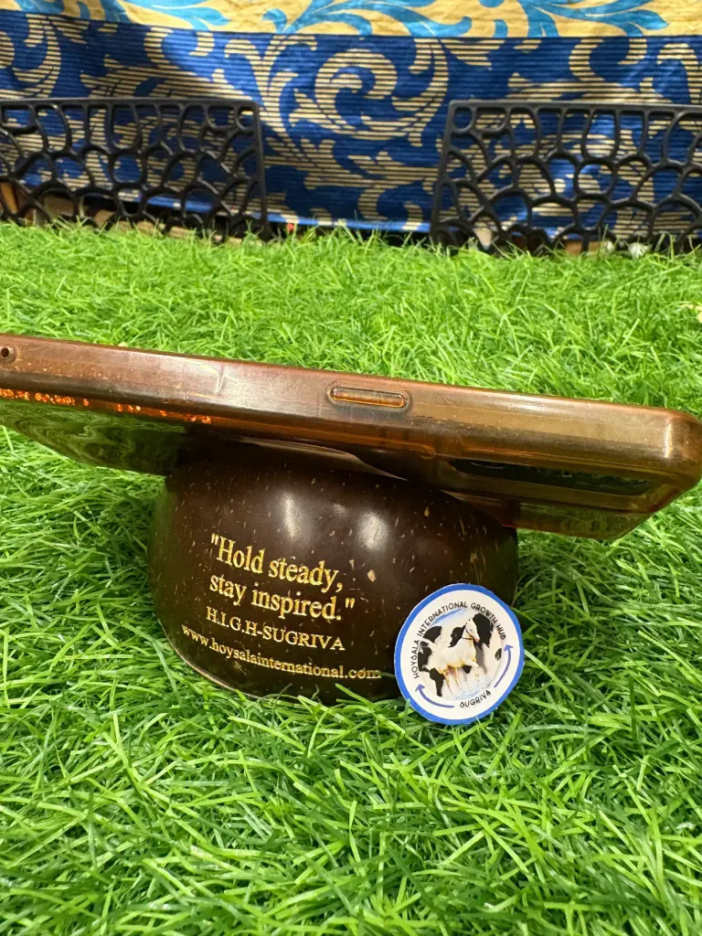 Coconut shell mobile stand