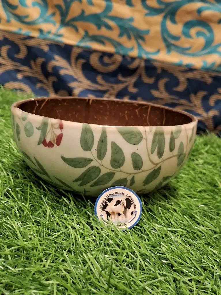 Coconut Shell Enamel Bowl 🥥