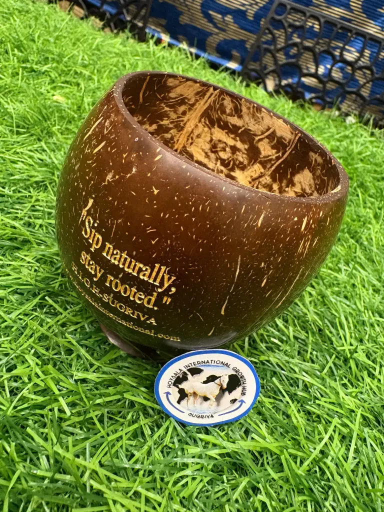 Coconut Shell Tea Cup