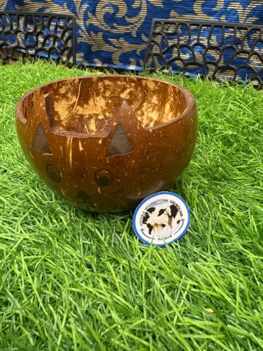[COCATBOW-01] Coconut shell cat face bowl